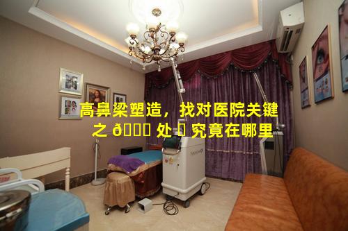 高鼻梁塑造，找对医院关键之 🐞 处 ☘ 究竟在哪里